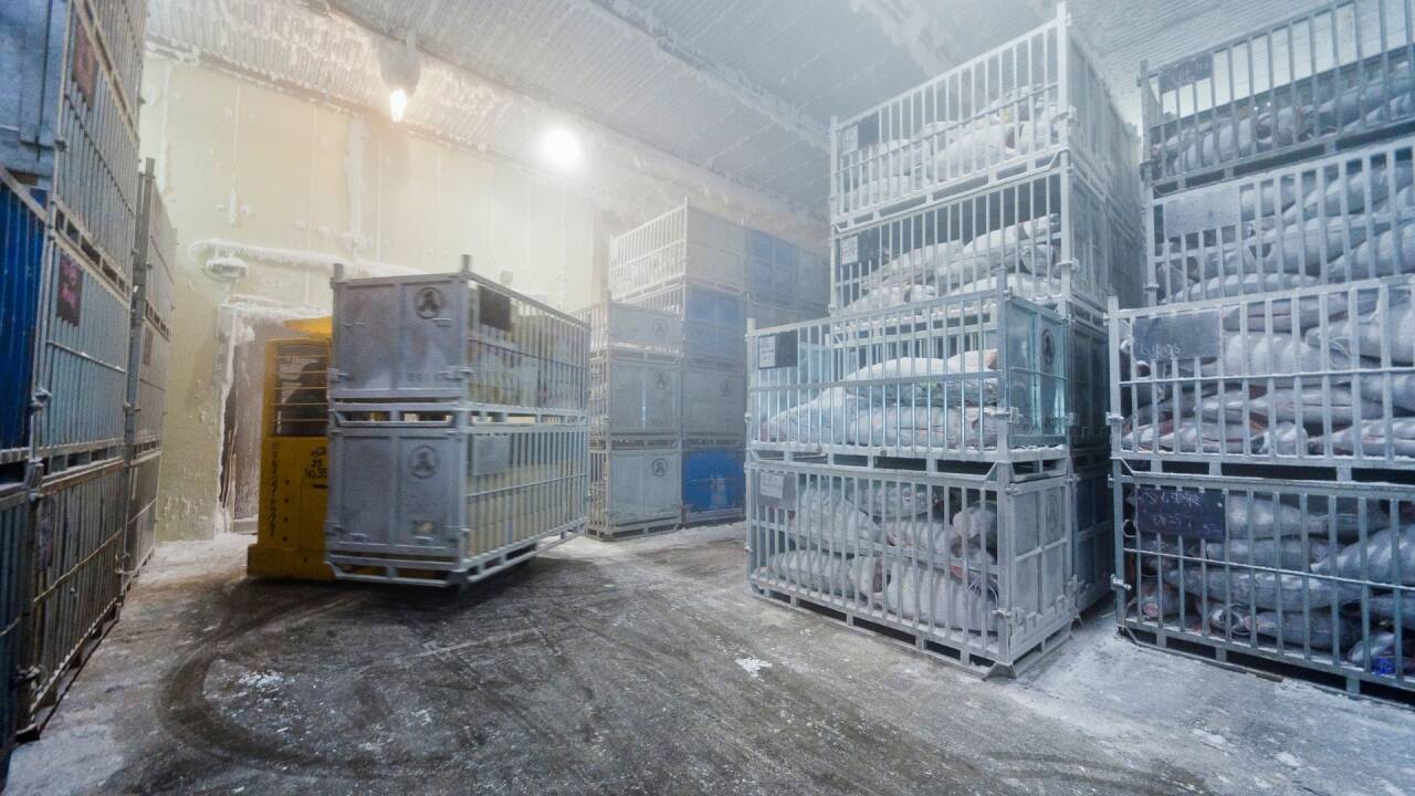 Cold storage interior with new LED